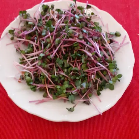 Akropolis, Eco Breakfasts From Farm 마리안스케 라즈네