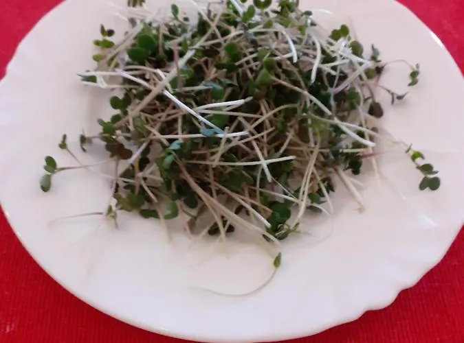 Akropolis, Eco Breakfasts From Farm Mariánské Lázně