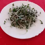 Akropolis, Eco Breakfasts From Farm Marianske Lazne