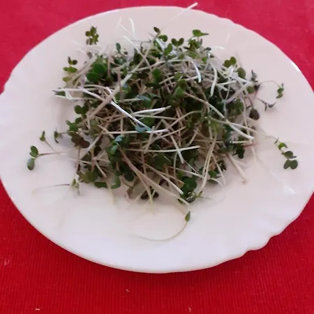 Akropolis, Eco Breakfasts From Farm Mariańskie Łaźnie